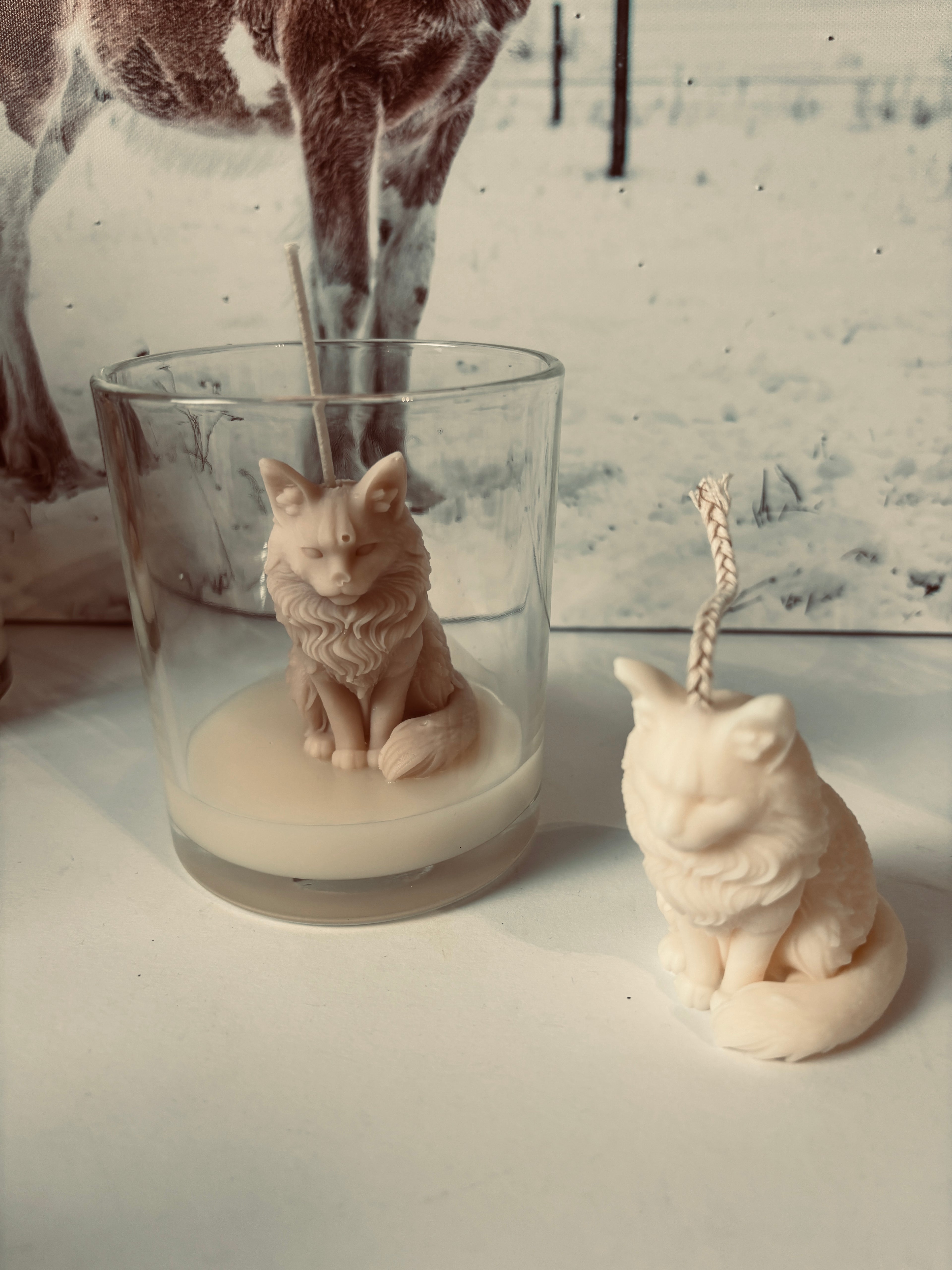 Maine Coon „Mathilda“ – Kerze im Glas