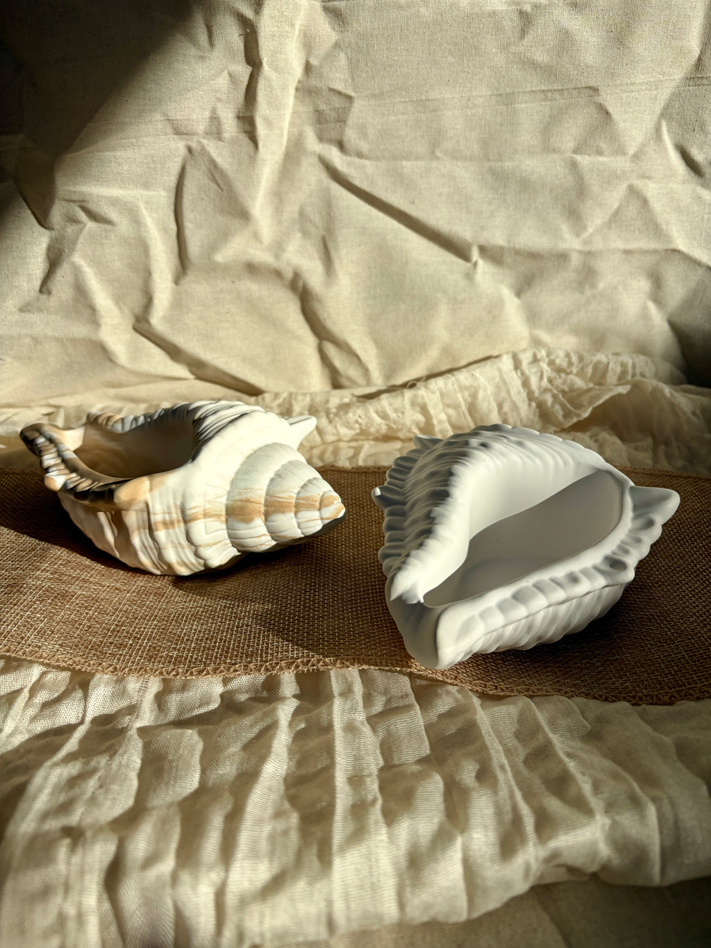 Ocean Shell