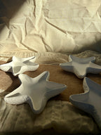 Ocean Star