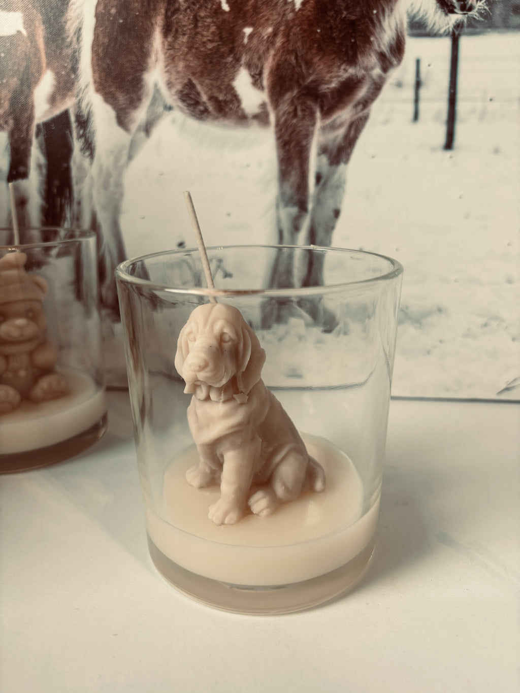 Schlappohr „Forrest“ – Kerze im Glas