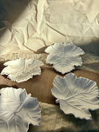 Autumn Leaf