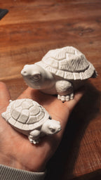 Keramik Schildkröten im 2er-Set – Liebe zum Detail in groß & klein