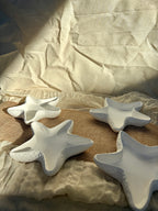 Ocean Star