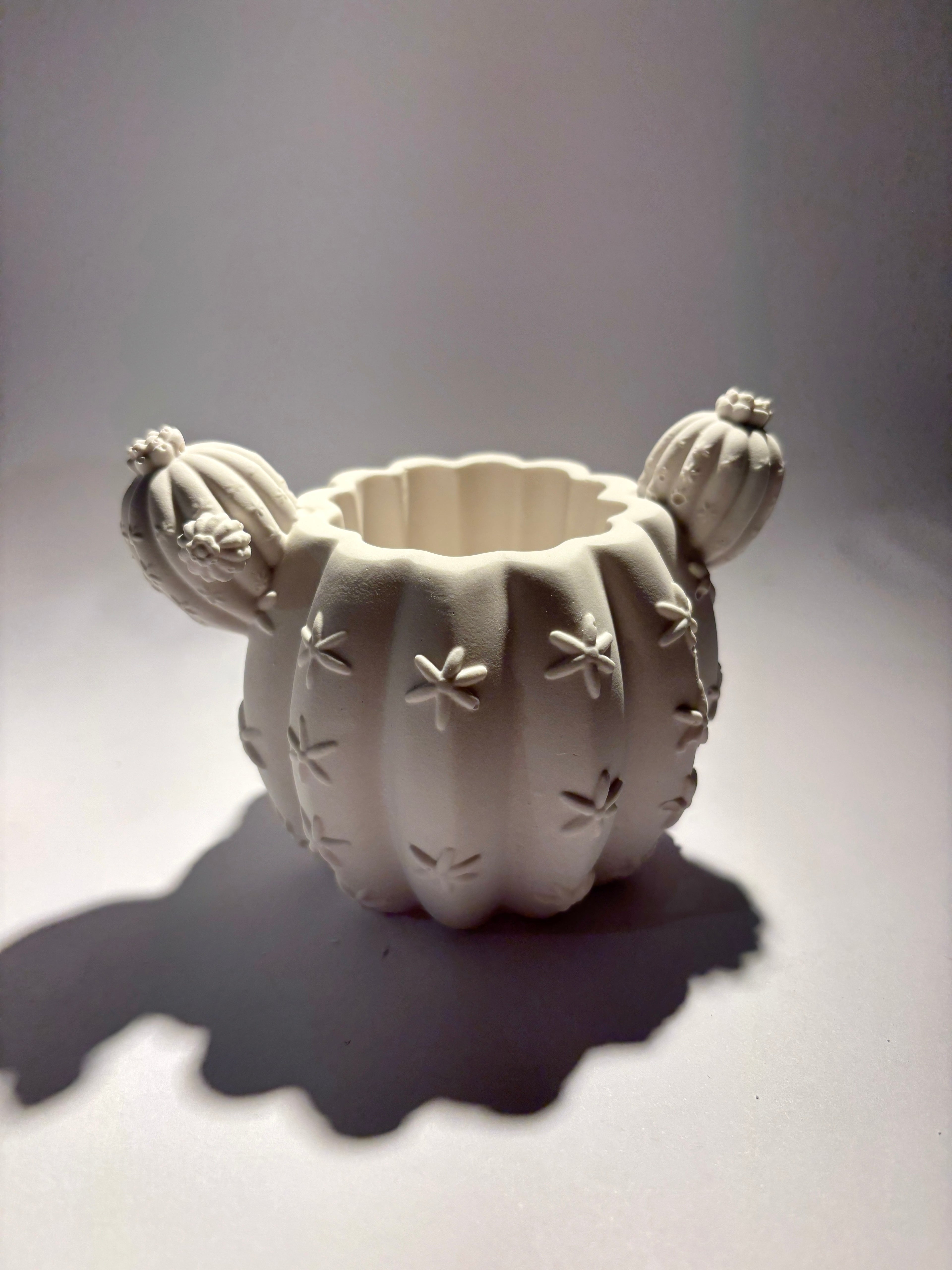 Kaktus Keramikgefäß