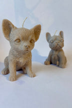 Französische Bulldogge XL Kerze