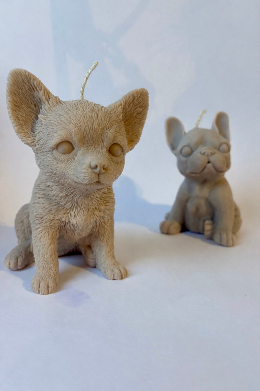 Französische Bulldogge XL Kerze