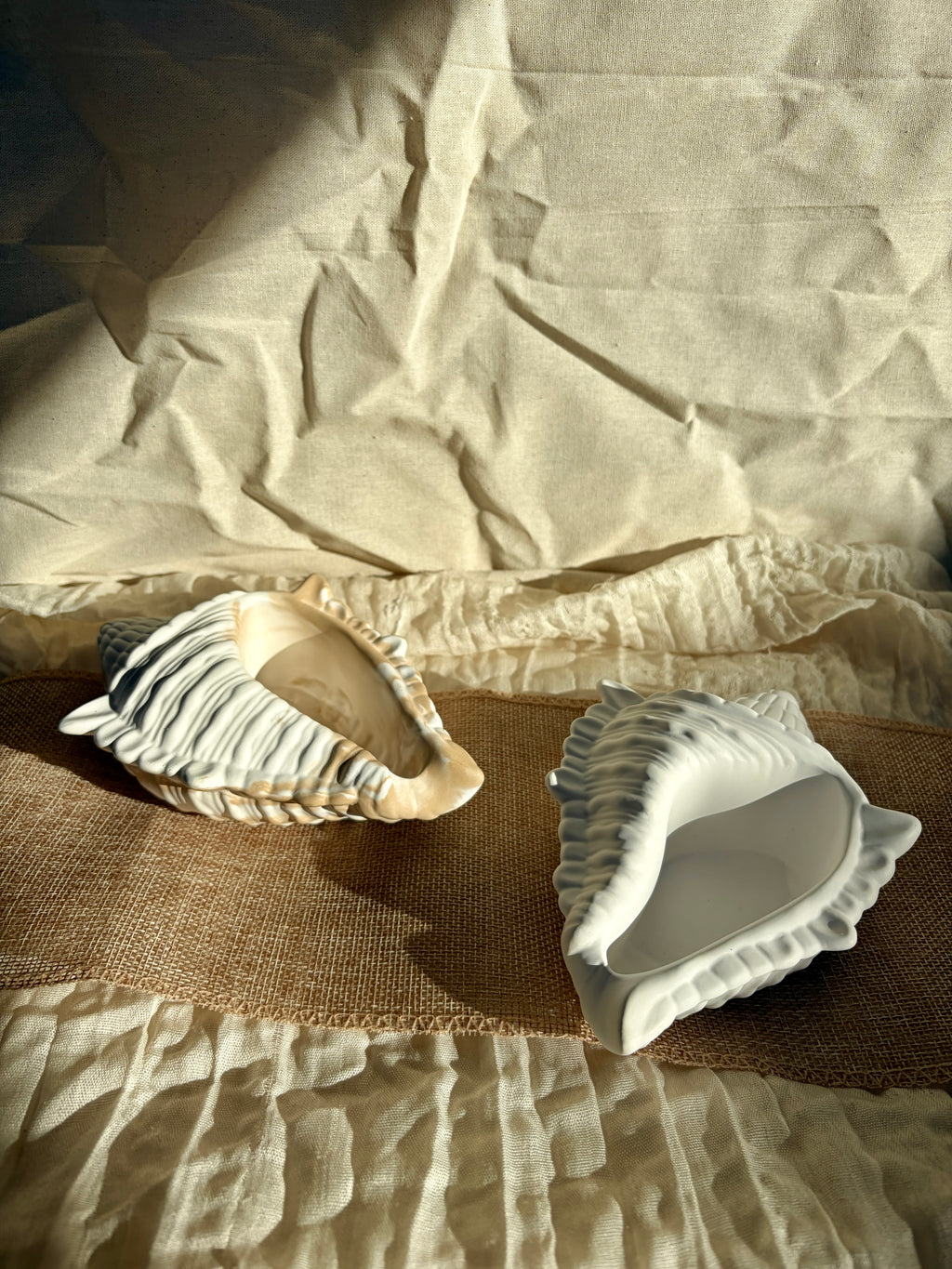 Ocean Shell