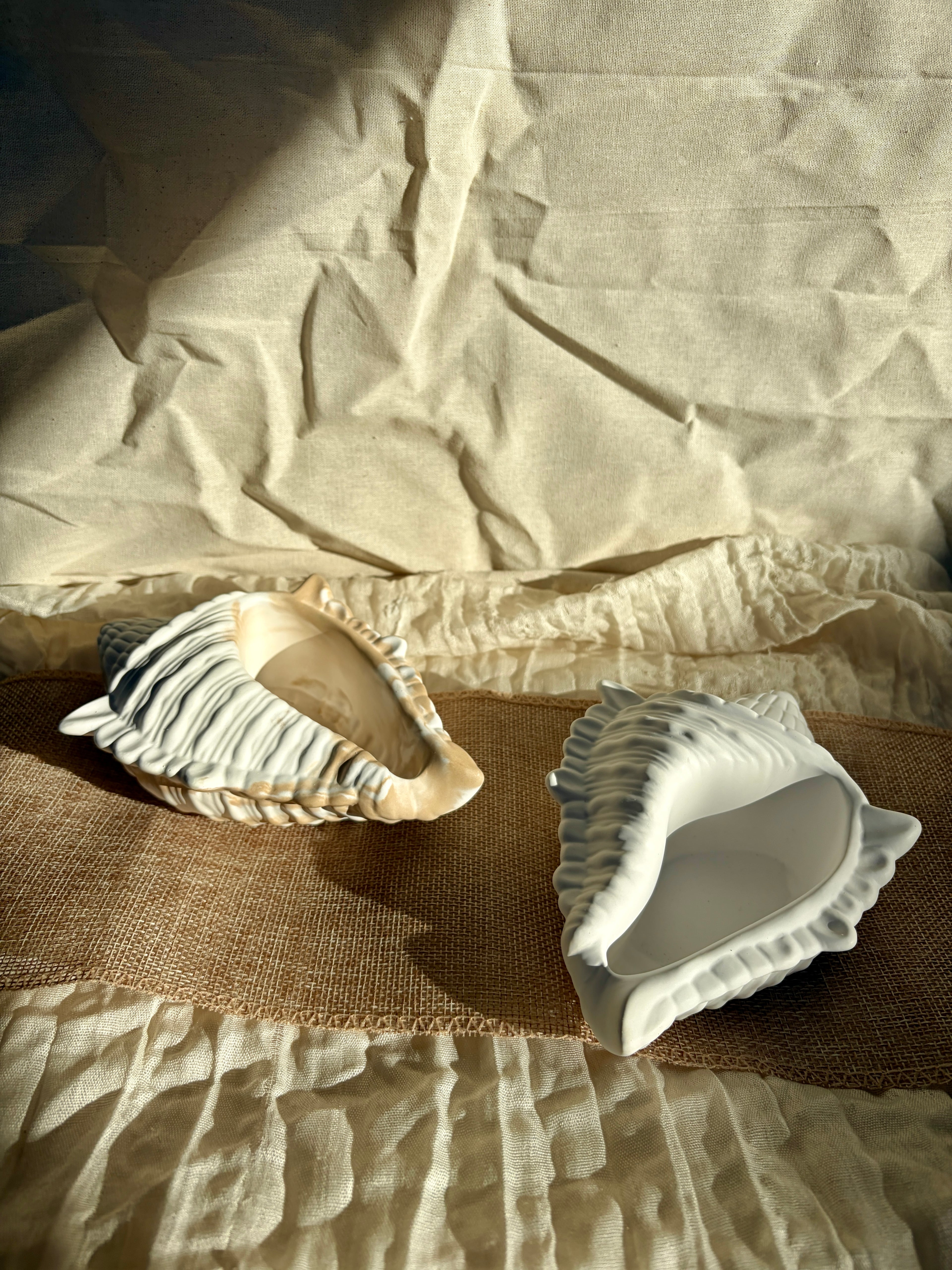 Ocean Shell