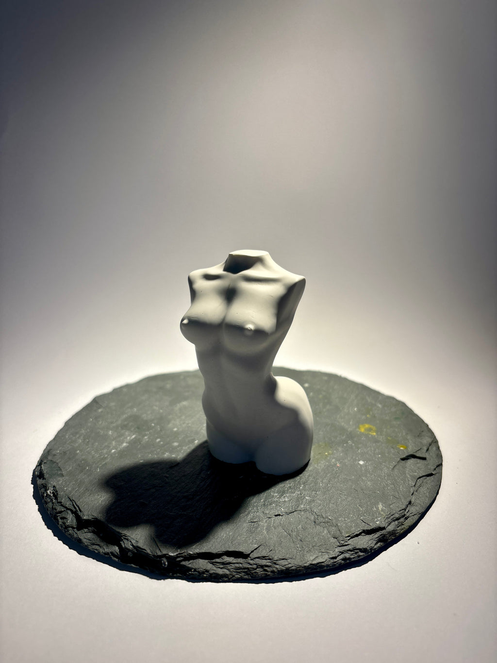 Eleganter FrauenTorso