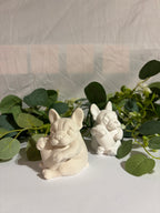 Bulldogge mit Herz – Liebe in Pfotenform