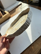 Keramik-Tablett „Baumscheibe“