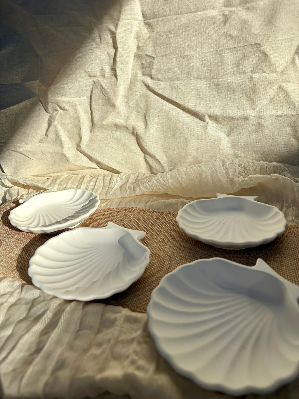 Ocean Shell Coaster