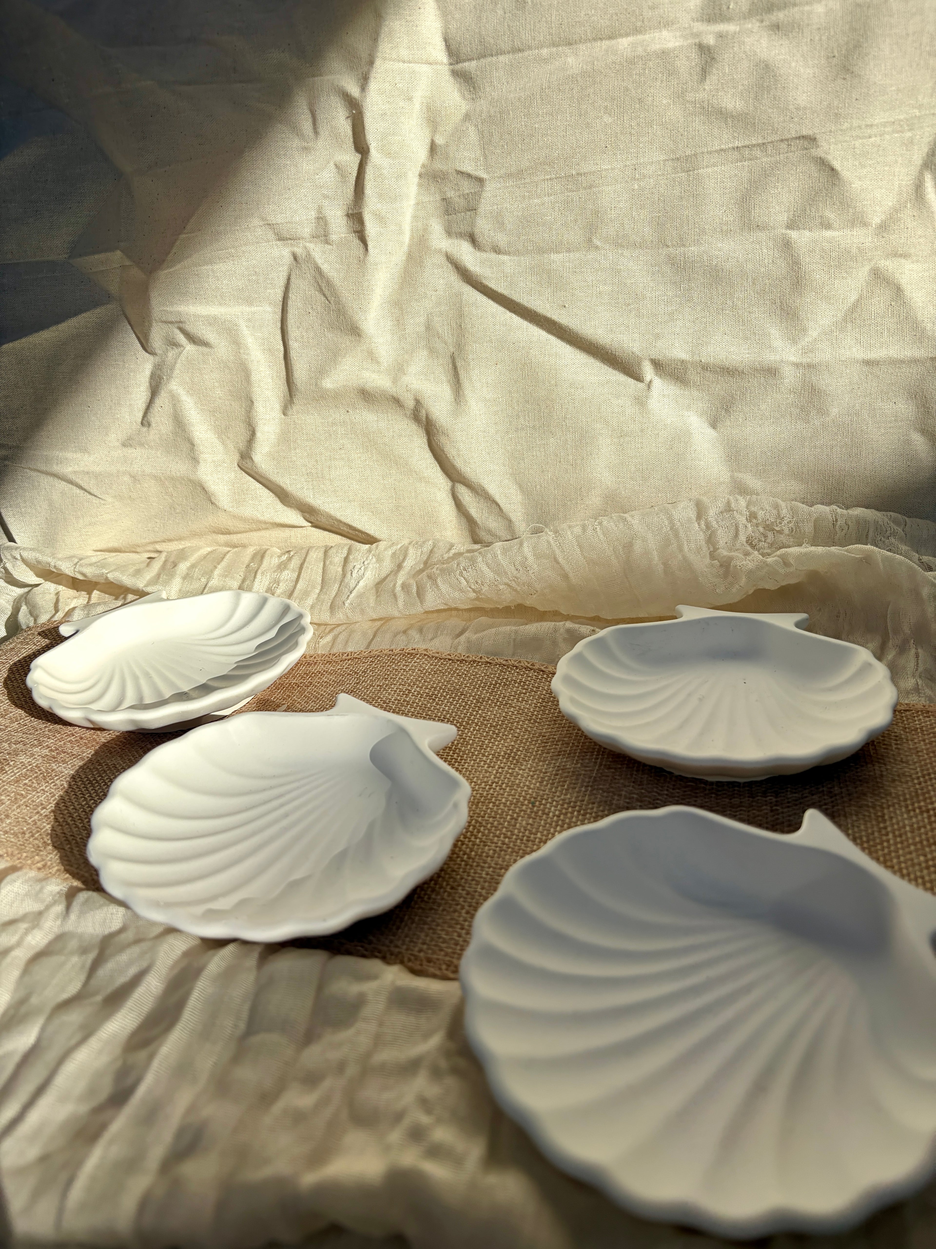 Ocean Shell Coaster