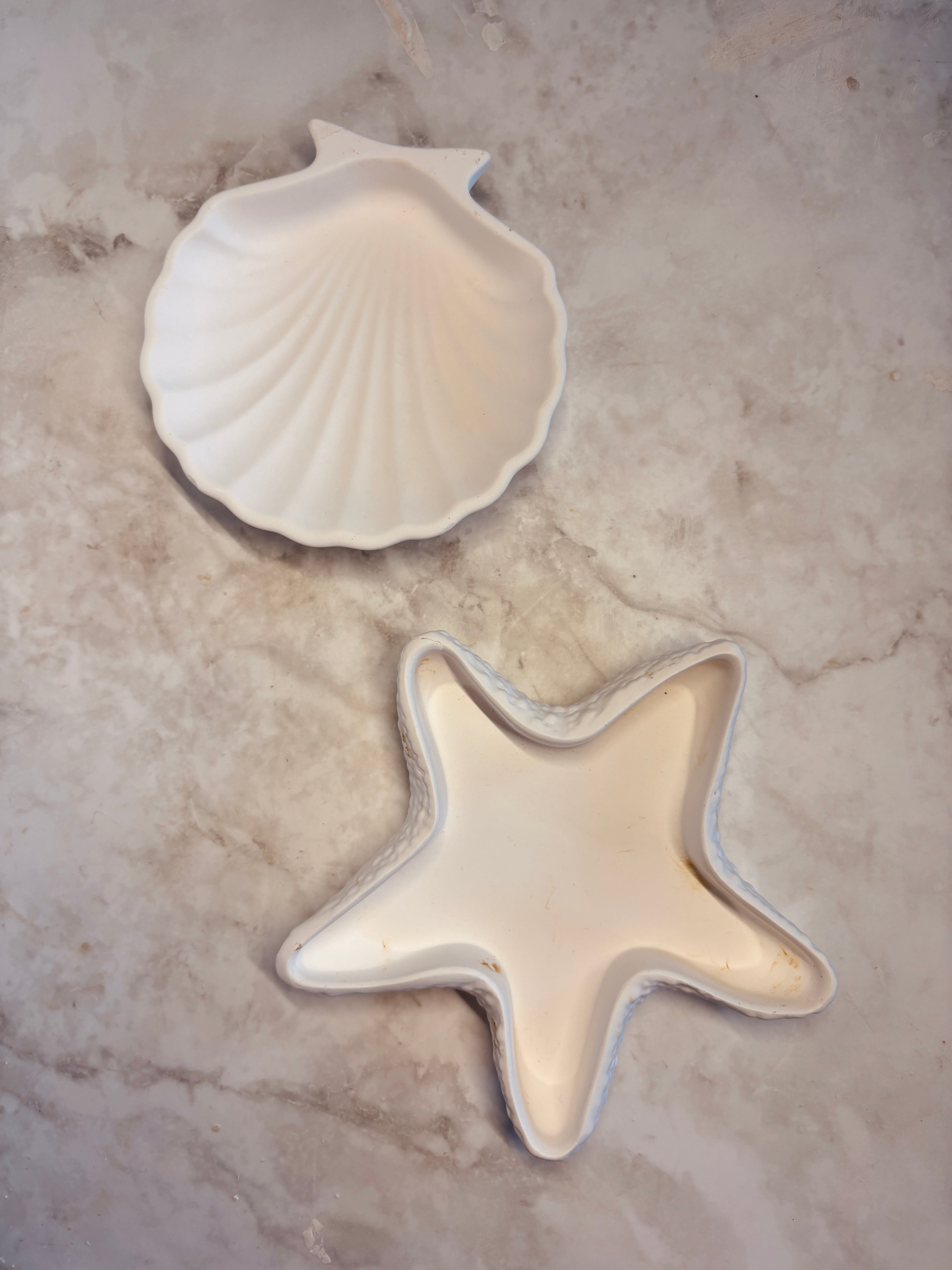 Seestern Schale