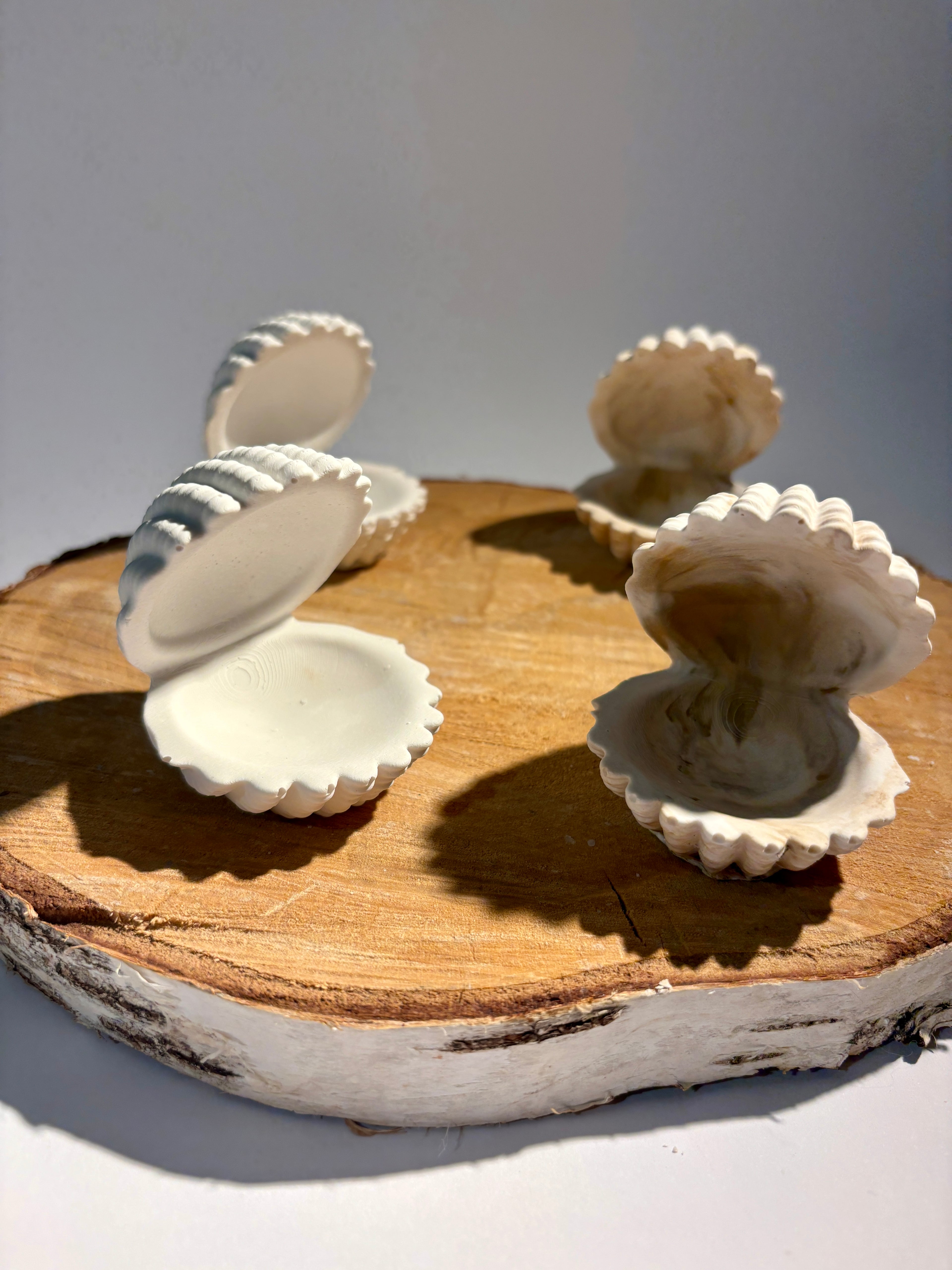 Schmuck Muschel Aufbewahrung