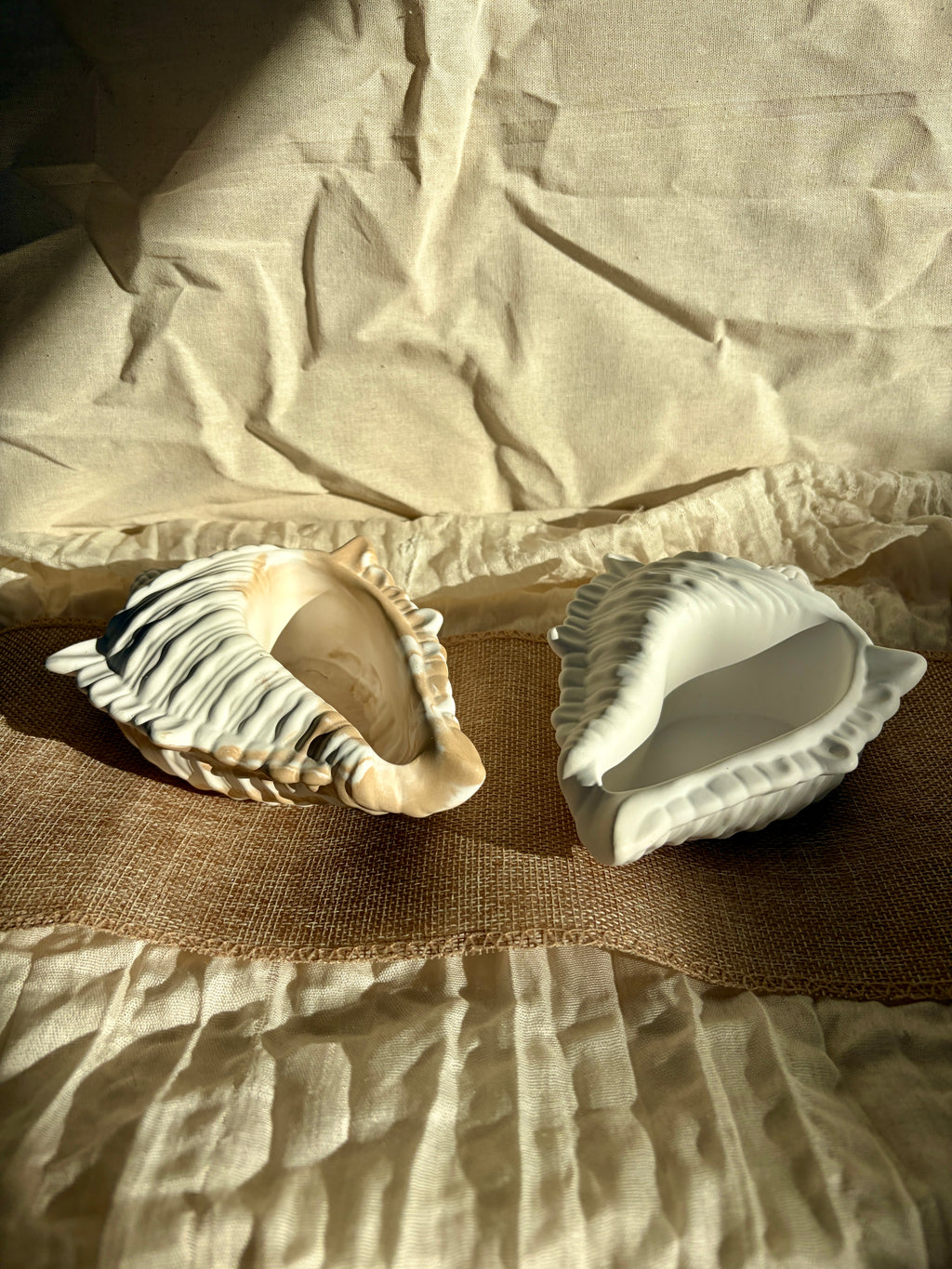 Ocean Shell