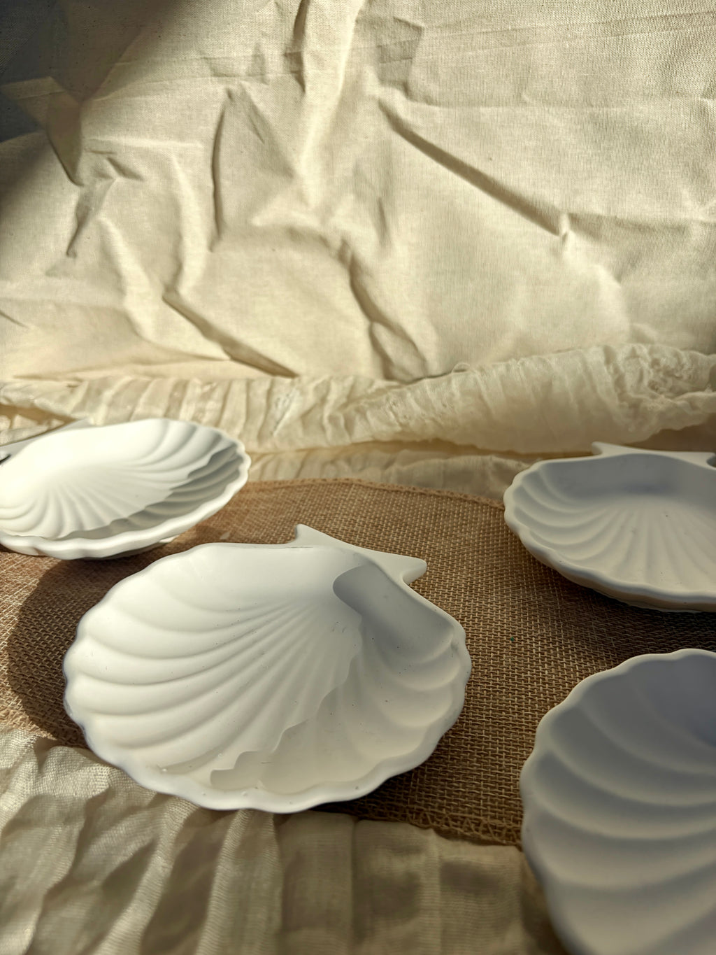 Ocean Shell Coaster
