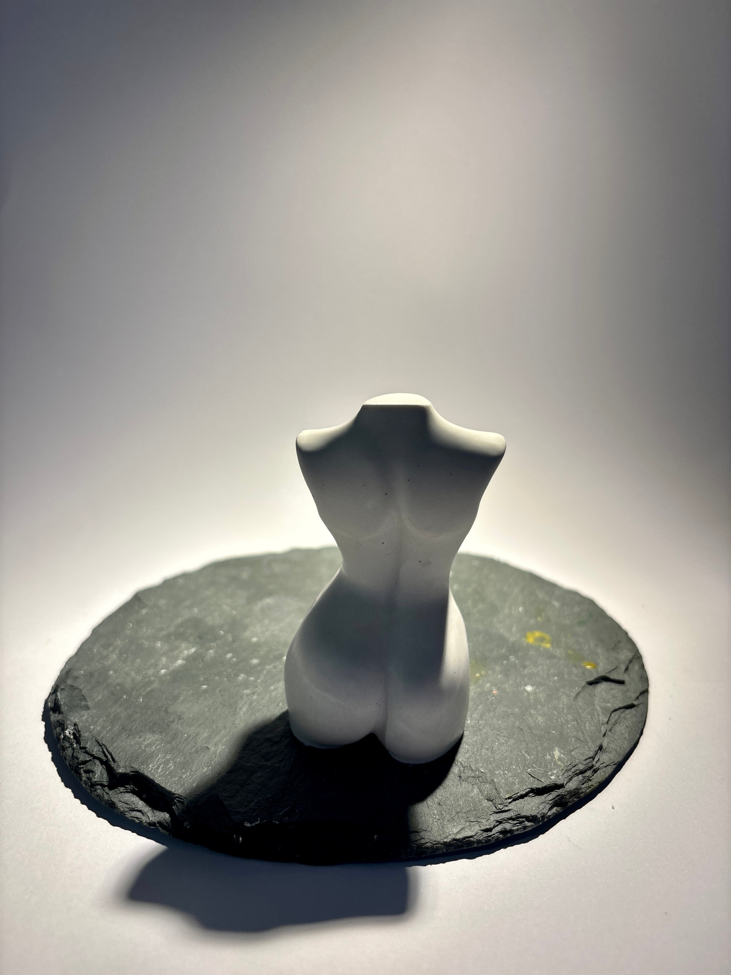 Eleganter FrauenTorso